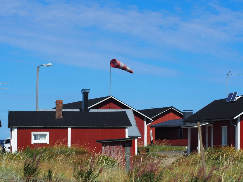 Punaisia, mustakattoisia taloja sinistä taivasta vasten. Maassa kasvaa rantakasveja.