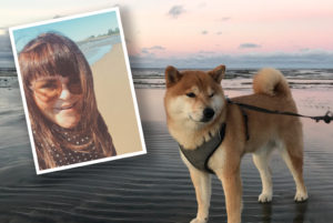 Kaksiosaisessa kuvassa yhdistyvät hymyilevän Annakaisan kasvot sekä rannalla otettu otos shiba inu -koirasta.