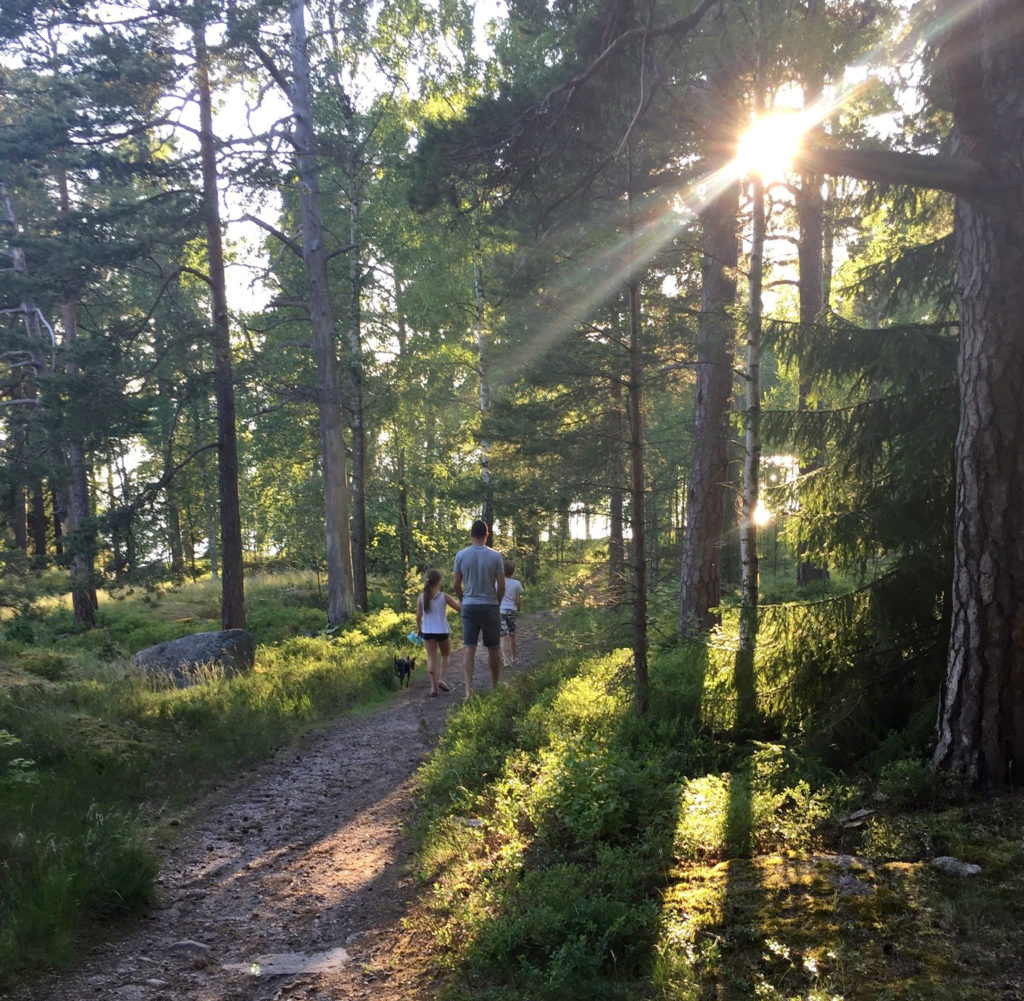 Kolme ihmistä kulkemassa valoisaa metsäpolkua pitkin kesäauringon paisteessa.