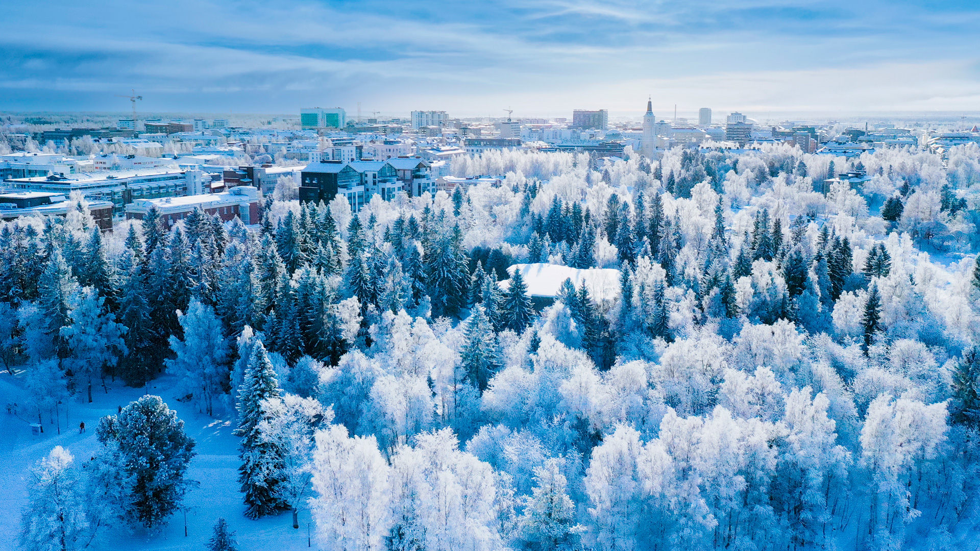 Luminen Oulu ja puistojen puita kuvattuna ilmasta.