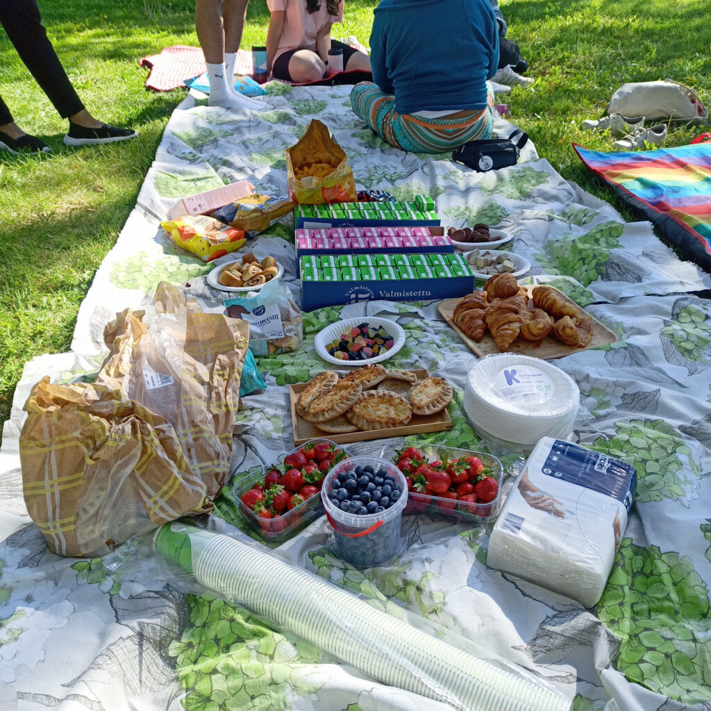 International House Oulun piknik